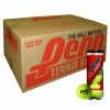 [ 12 ] Penn Coach Practice Tennis Balls Case Quantity -sports advantage shop 05896 24 2017