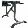Dual Hyperextension 2 Dual Hyperextension -sports advantage shop 400430 01