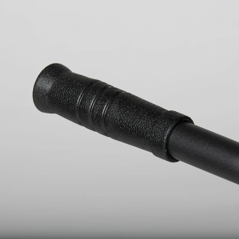 Back Hyperextension V2 9 Back Hyperextension V2 - Image 7